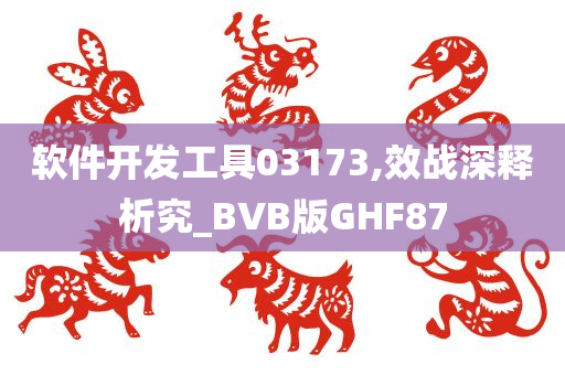 软件开发工具03173,效战深释析究_BVB版GHF87