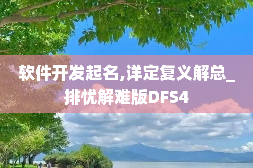 软件开发起名,详定复义解总_排忧解难版DFS4