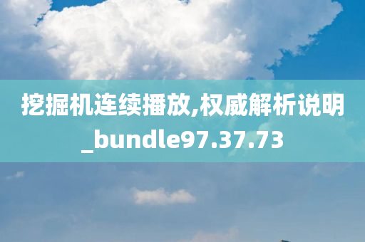 挖掘机连续播放,权威解析说明_bundle97.37.73