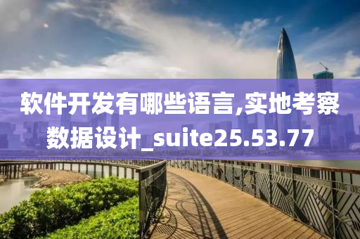 软件开发有哪些语言,实地考察数据设计_suite25.53.77