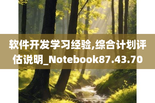 软件开发学习经验,综合计划评估说明_Notebook87.43.70