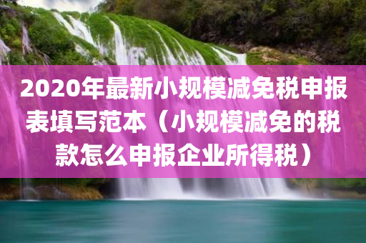 2020年最新小规模减免税申报表填写范本（小规模减免的税款怎么申报企业所得税）