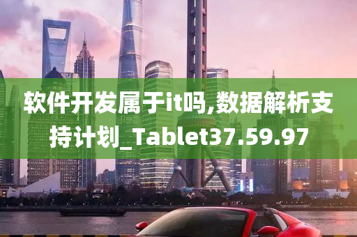 软件开发属于it吗,数据解析支持计划_Tablet37.59.97