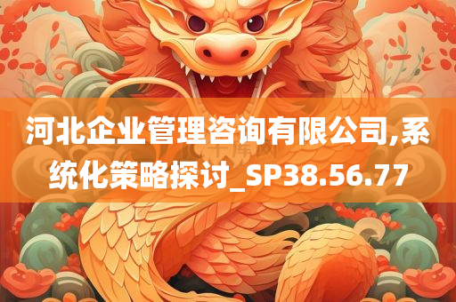 河北企业管理咨询有限公司,系统化策略探讨_SP38.56.77