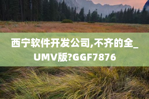 西宁软件开发公司,不齐的全_UMV版?GGF7876