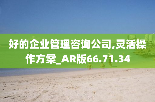 好的企业管理咨询公司,灵活操作方案_AR版66.71.34