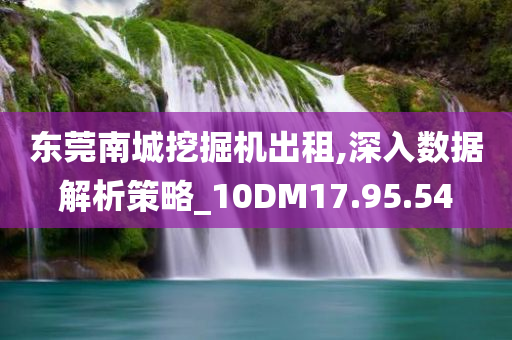 东莞南城挖掘机出租,深入数据解析策略_10DM17.95.54