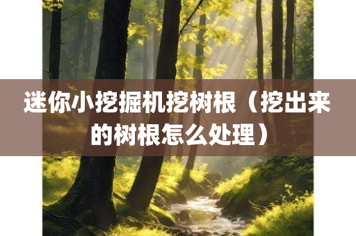 迷你小挖掘机挖树根（挖出来的树根怎么处理）