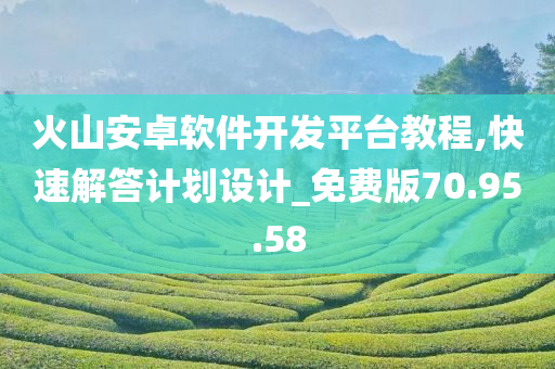 火山安卓软件开发平台教程,快速解答计划设计_免费版70.95.58