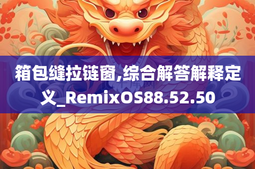 箱包缝拉链窗,综合解答解释定义_RemixOS88.52.50