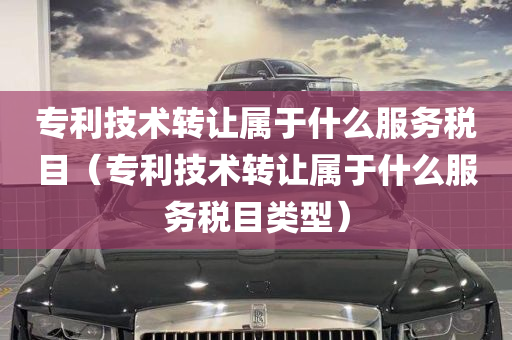 专利技术转让属于什么服务税目（专利技术转让属于什么服务税目类型）