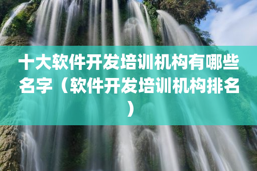 十大软件开发培训机构有哪些名字（软件开发培训机构排名）