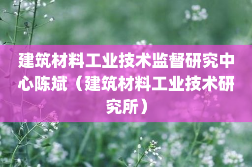 建筑材料工业技术监督研究中心陈斌（建筑材料工业技术研究所）