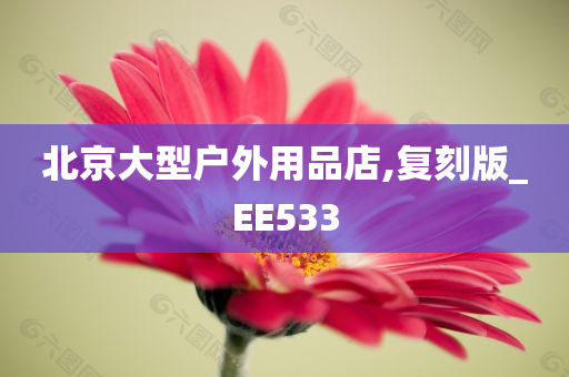 北京大型户外用品店,复刻版_EE533