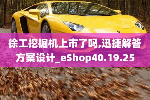 徐工挖掘机上市了吗,迅捷解答方案设计_eShop40.19.25