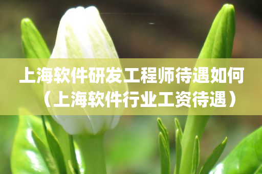 上海软件研发工程师待遇如何（上海软件行业工资待遇）