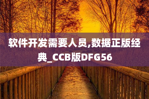 软件开发需要人员,数据正版经典_CCB版DFG56