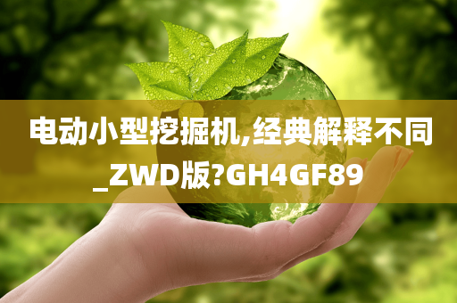 电动小型挖掘机,经典解释不同_ZWD版?GH4GF89