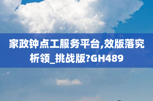 家政钟点工服务平台,效版落究析领_挑战版?GH489