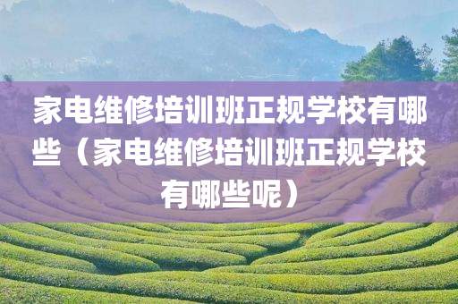 家电维修培训班正规学校有哪些（家电维修培训班正规学校有哪些呢）