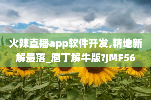 火辣直播app软件开发,精地新解最落_庖丁解牛版?JMF56