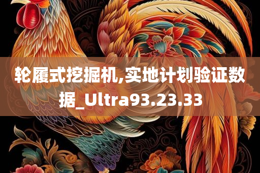 轮履式挖掘机,实地计划验证数据_Ultra93.23.33