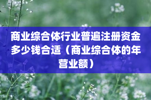 商业综合体行业普遍注册资金多少钱合适（商业综合体的年营业额）