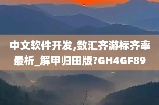 中文软件开发,数汇齐游标齐率最析_解甲归田版?GH4GF89