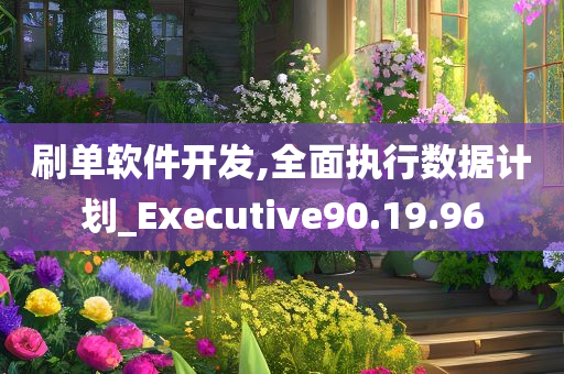 刷单软件开发,全面执行数据计划_Executive90.19.96