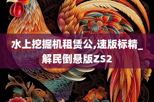 水上挖掘机租赁公,速版标精_解民倒悬版ZS2