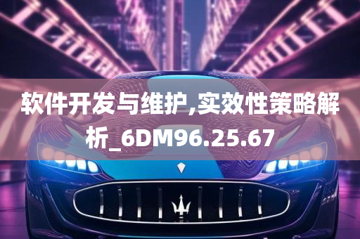 软件开发与维护,实效性策略解析_6DM96.25.67