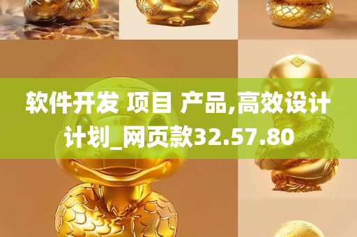 软件开发 项目 产品,高效设计计划_网页款32.57.80