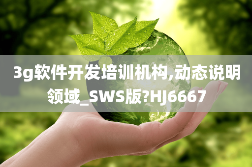 3g软件开发培训机构,动态说明领域_SWS版?HJ6667