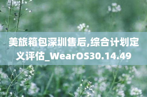 美旅箱包深圳售后,综合计划定义评估_WearOS30.14.49