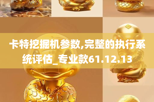 卡特挖掘机参数,完整的执行系统评估_专业款61.12.13