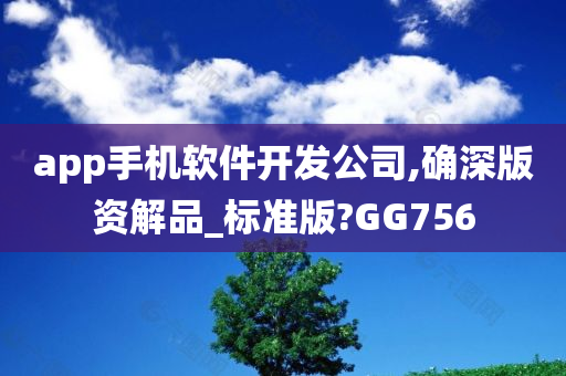 app手机软件开发公司,确深版资解品_标准版?GG756