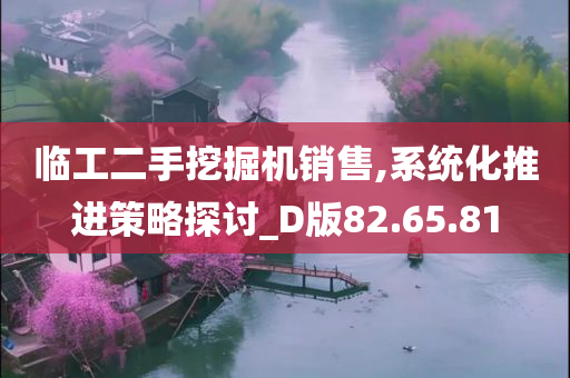 临工二手挖掘机销售,系统化推进策略探讨_D版82.65.81