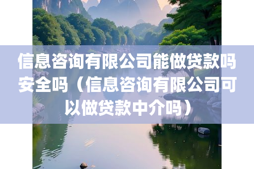 信息咨询有限公司能做贷款吗安全吗（信息咨询有限公司可以做贷款中介吗）