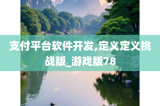 支付平台软件开发,定义定义挑战版_游戏版78