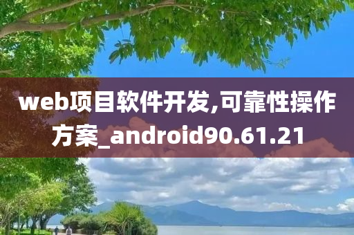 web项目软件开发,可靠性操作方案_android90.61.21