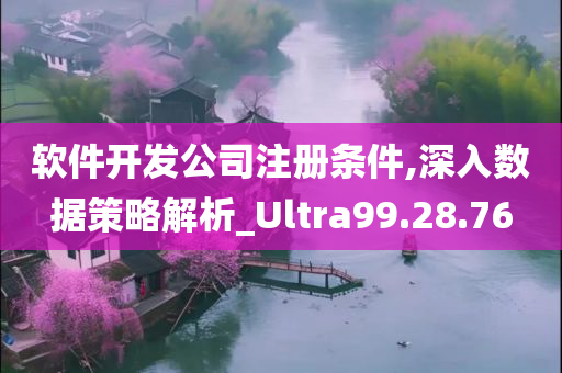 软件开发公司注册条件,深入数据策略解析_Ultra99.28.76