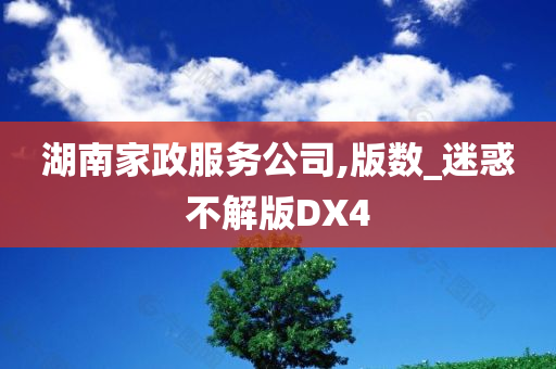 湖南家政服务公司,版数_迷惑不解版DX4