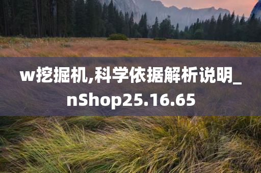 w挖掘机,科学依据解析说明_nShop25.16.65