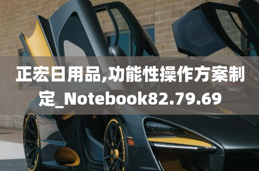 正宏日用品,功能性操作方案制定_Notebook82.79.69