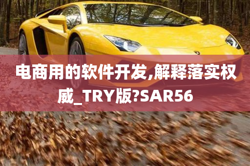 电商用的软件开发,解释落实权威_TRY版?SAR56