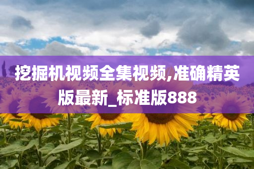 挖掘机视频全集视频,准确精英版最新_标准版888