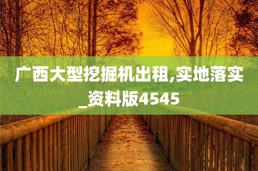 广西大型挖掘机出租,实地落实_资料版4545