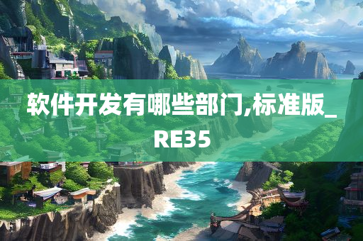 软件开发有哪些部门,标准版_RE35