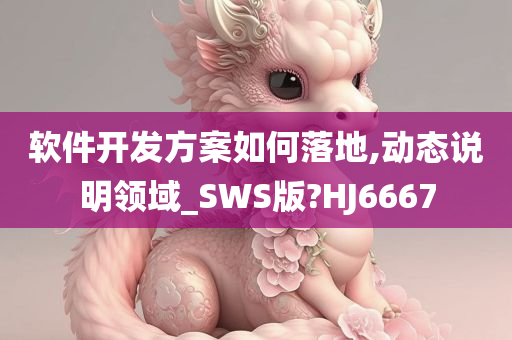 软件开发方案如何落地,动态说明领域_SWS版?HJ6667