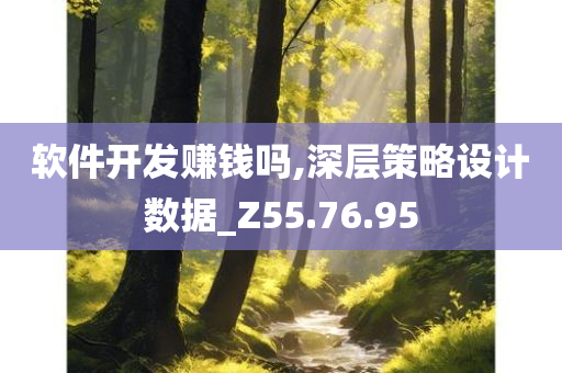 软件开发赚钱吗,深层策略设计数据_Z55.76.95